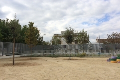 Plantada d'arbres al pati